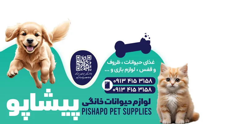 طرح آماده استیکر پت شاپ با عکس گربه و رنگ فیروزه ای — تصویر 2